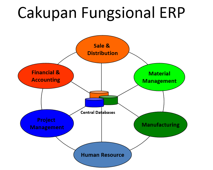 apakah yang dimaksud erp